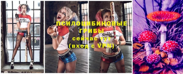 круглые Алзамай