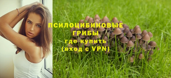 круглые Алзамай