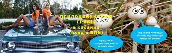 круглые Алзамай