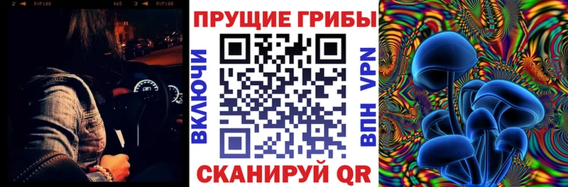 shop какой сайт  Мирный  Галлюциногенные грибы MAGIC MUSHROOMS 